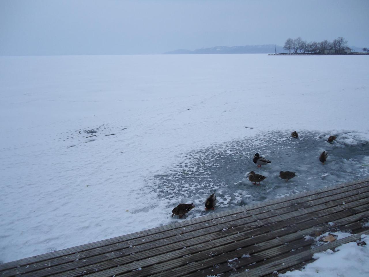 Kek Laguna Vendeghaz Balatonfüred Eksteriør billede